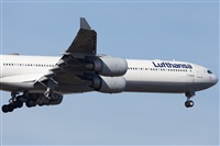 Miguel Alia - Noisy Spotters. Click to see full size photo