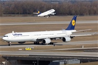 Miguel Alia - Noisy Spotters. Click to see full size photo