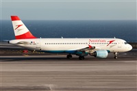 Javier de la Cruz - CANARY ISLANDS SPOTTING. Click to see full size photo