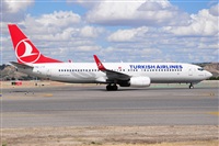 Miguel A. gueda Rguez.  (CANARY ISLANDS SPOTTING). Click to see full size photo