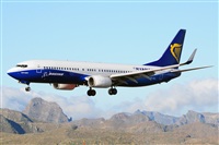 Miguel A. gueda Rguez.  (CANARY ISLANDS SPOTTING). Click to see full size photo