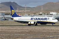 Alfonso Sols - Asociacin Canary Islands Spotting. Click to see full size photo