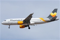 ©Alfonso Solís - Asociación Canary Islands Spotting. Click to see full size photo ©Alfonso Solís - Asociación Canary Islands Spotting. Click to see full size photo