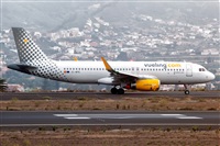Javier de la Cruz - CANARY ISLANDS SPOTTING. Click to see full size photo