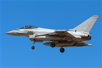 ©Adolfo Bento - Gran Canaria Spotters. Click to see full size photo ©Adolfo Bento - Gran Canaria Spotters. Click to see full size photo