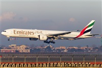 Rubn Gil - Noisy Spotters. Click to see full size photo