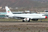 Alfonso Sols - Asociacin Canary Islands Spotting. Haz click para ampliar