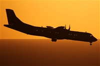 Adrin Alonso Lemes - Lanzarote Spotters. Click to see full size photo