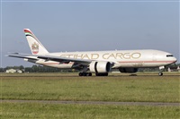 Rubn Gil - Noisy Spotters. Click to see full size photo