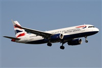 Alfonso Sols - Asociacin Canary Islands Spotting. Click to see full size photo