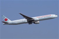 Miguel A. gueda Rguez.  (CANARY ISLANDS SPOTTING). Click to see full size photo