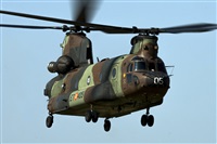 EC-ISM. Click to see full size photo