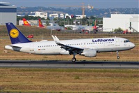 Miguel A. gueda Rguez.  (CANARY ISLANDS SPOTTING). Haz click para ampliar