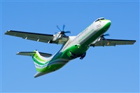 ©Saimon J Rodriguez - Canary Islands Spotting. Click to see full size photo ©Saimon J Rodriguez - Canary Islands Spotting. Click to see full size photo