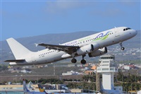 Miguel A. gueda Rguez.  (CANARY ISLANDS SPOTTING). Click to see full size photo