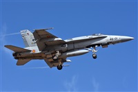 J. Victor Vega-Gran Canaria Spotters. Click to see full size photo