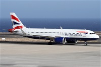 ©Alfonso Solís - Asociación Canary Islands Spotting. Click to see full size photo ©Alfonso Solís - Asociación Canary Islands Spotting. Click to see full size photo