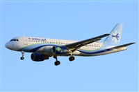 Miguel A. gueda Rguez.  (CANARY ISLANDS SPOTTING). Click to see full size photo