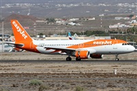 Alfonso Sols - Asociacin Canary Islands Spotting. Click to see full size photo