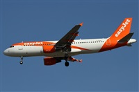 Alfonso Sols - Asociacin Canary Islands Spotting. Click to see full size photo
