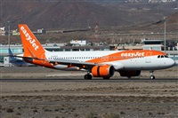 Alfonso Sols - Asociacin Canary Islands Spotting. Haz click para ampliar