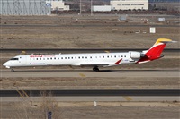 ©Alfonso Solís - Asociación Canary Islands Spotting. Click to see full size photo ©Alfonso Solís - Asociación Canary Islands Spotting. Click to see full size photo