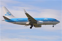 Miguel A. gueda Rguez.  (CANARY ISLANDS SPOTTING). Click to see full size photo