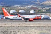 Miguel A. gueda Rguez.  (CANARY ISLANDS SPOTTING). Haz click para ampliar