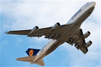 Miguel Martin Cordeiro - Iberian Spotters. Click to see full size photo