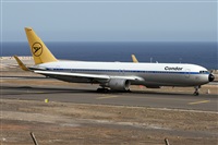 ©Alfonso Solís - Asociación Canary Islands Spotting. Click to see full size photo ©Alfonso Solís - Asociación Canary Islands Spotting. Click to see full size photo