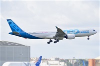Miguel A. gueda Rguez.  (CANARY ISLANDS SPOTTING). Click to see full size photo