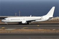 Alfonso Sols - Asociacin Canary Islands Spotting. Haz click para ampliar