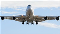 ©Alejandro H.L - Gran Canaria Spotters. Click to see full size photo ©Alejandro H.L - Gran Canaria Spotters. Click to see full size photo