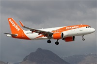 Alfonso Sols - Asociacin Canary Islands Spotting. Haz click para ampliar