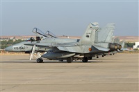 EC-ISM. Click to see full size photo