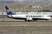 Alfonso Sols - Asociacin Canary Islands Spotting. Click to see full size photo
