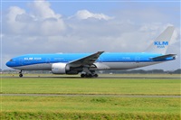 Miguel A. gueda Rguez.  (CANARY ISLANDS SPOTTING). Click to see full size photo