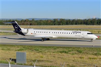 Miguel A. gueda Rguez.  (CANARY ISLANDS SPOTTING). Click to see full size photo