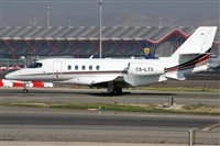 ©Alfonso Solís - Asociación Canary Islands Spotting. Click to see full size photo ©Alfonso Solís - Asociación Canary Islands Spotting. Click to see full size photo