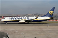 ©Alfonso Solís - Asociación Canary Islands Spotting. Click to see full size photo ©Alfonso Solís - Asociación Canary Islands Spotting. Click to see full size photo