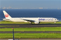 Miguel A. gueda Rguez.  (CANARY ISLANDS SPOTTING). Click to see full size photo