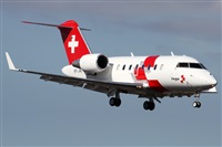 ©Alfonso Solís - Asociación Canary Islands Spotting. Click to see full size photo ©Alfonso Solís - Asociación Canary Islands Spotting. Click to see full size photo
