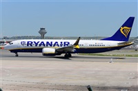 Miguel A. gueda Rguez.  (CANARY ISLANDS SPOTTING). Click to see full size photo