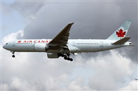 ©Alfonso Solís - Asociación Canary Islands Spotting. Click to see full size photo ©Alfonso Solís - Asociación Canary Islands Spotting. Click to see full size photo