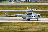 ©Alejandro Torres C (México). Click to see full size photo ©Alejandro Torres C (México). Click to see full size photo