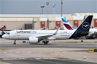 ©Xisco Bestard. Click to see full size photo ©Xisco Bestard. Click to see full size photo