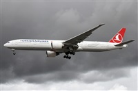 �Alfonso Sol�s - Asociaci�n Canary Islands Spotting. Click to see full size photo