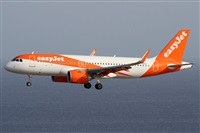 �Alfonso Sol�s - Asociaci�n Canary Islands Spotting. Click to see full size photo