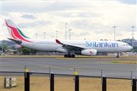 �Miguel A. �gueda Rguez.  (CANARY ISLANDS SPOTTING). Click to see full size photo