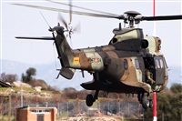 �Sergio Cambronero - Asociaci�n AIRE. Click to see full size photo